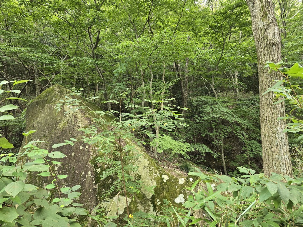 b50c10425eaccf8ae3194d27d1043470_1756987017_2269.jpg