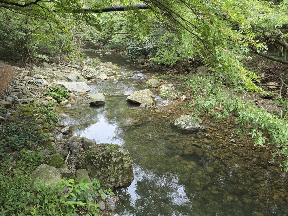 ec1cd000330bb04d21d7f9b3d5cb9204_1759576508_5584.jpg